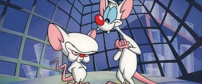 Read more about the article WHO REMEMBERS PINKY AND THE BRAIN?